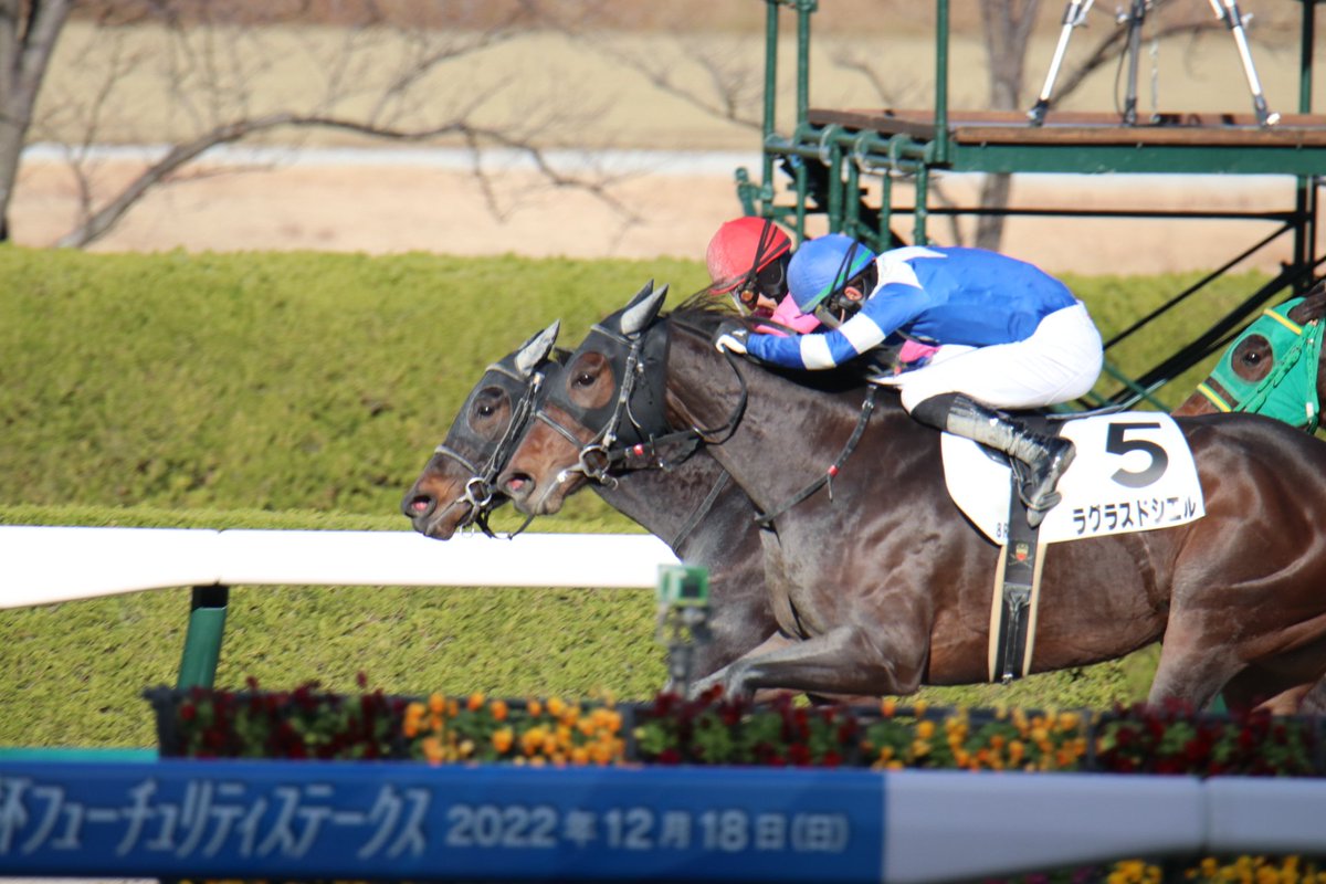 ラグラスドシエルちゃん&松山くん1着おめでとう✨
追い込みが見事に決まって、めっちゃカッコよかった😍
風がすごく強い中、ラグラスドシエルちゃん頑張ってくれてありがとう💕