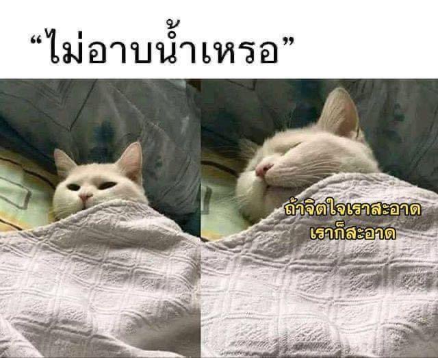 bbigkachu's tweet photo. จริ๊งงงงง 5555555555555555555555 https://t.co/FIK1wcF5nD