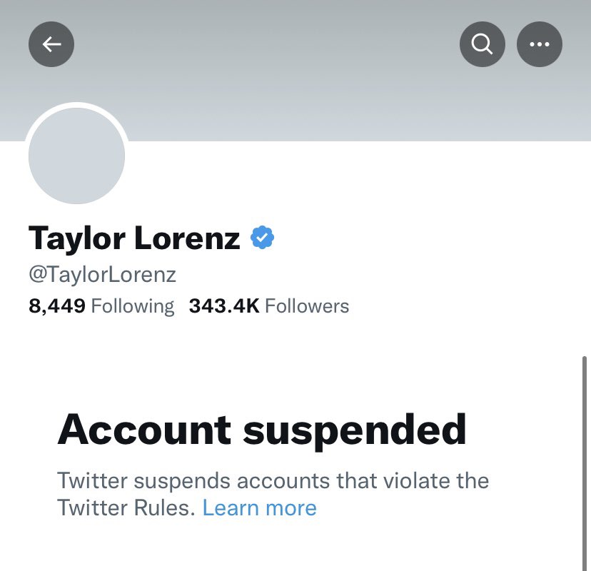 Read more about the article BREAKING: Taylor Lorenz- the person who doxxed me was just suspended from Twitte