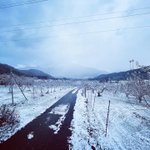 【民芸の宿】中央ホテル・戸倉上山田温泉のツイート画像