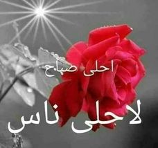 Allaa49145270's tweet photo. @SalmaAhMasr https://t.co/iEi4sP5ogn