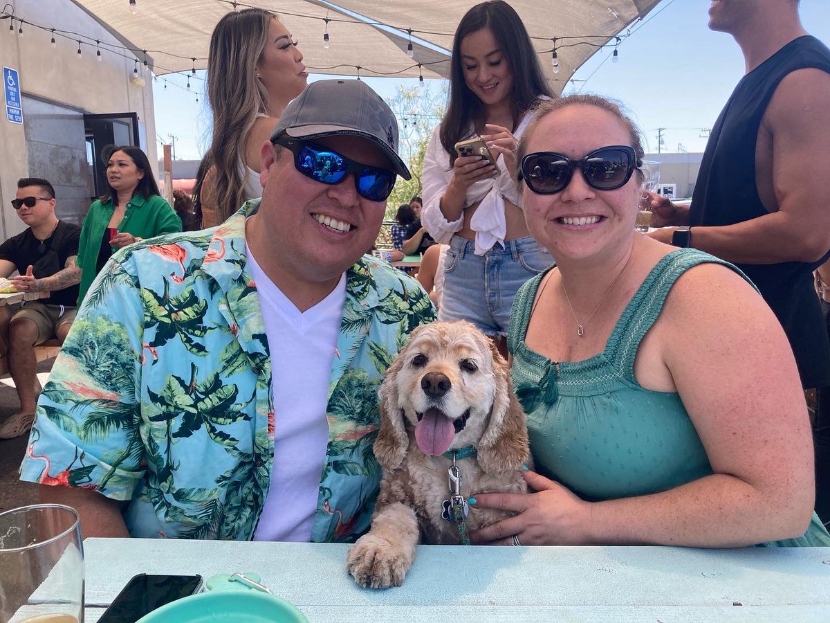 Sandy_Doggy's tweet photo. Happy 8th birthday, Sandy boy! We love you!! #cockerspaniel #dogbirthday #DogsofTwittter first pic by @carsty 🥰 https://t.co/fhrgusZnjV