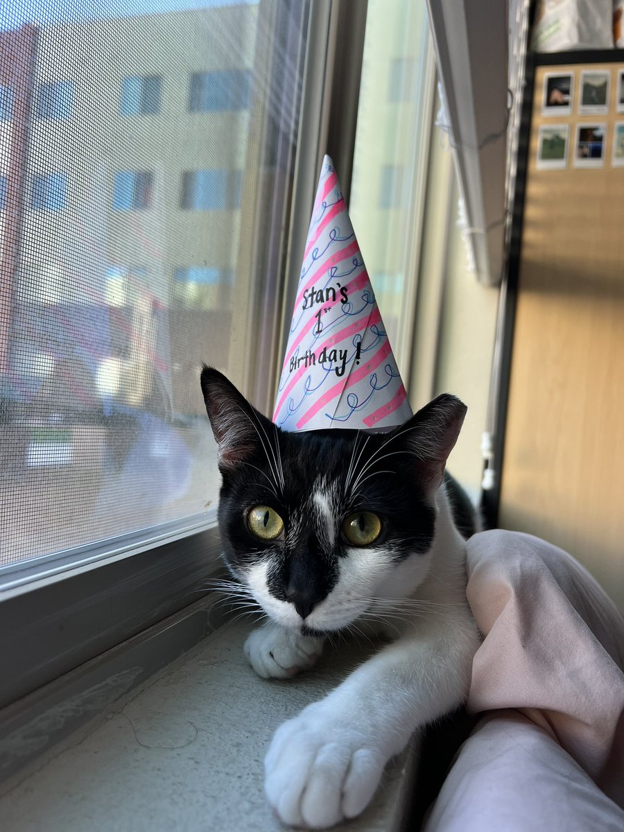 It’s my child’s first birthday 🎉