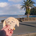 ツイートに含まれる画像