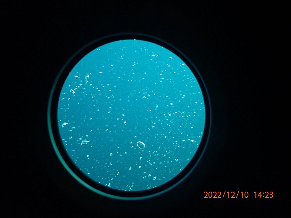 New blog post! Read about  <a href="/dexterity_no/">Dexter Davis</a>’s Alvin dive to the East Pacific Rise hydrothermal vents. wp.wwu.edu/arellanolab/ca…

#Biofilms4Larvae #wwu #marinebiology #NSFfunded #EPR #deepsea