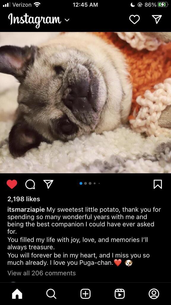 LWIAY_bot's tweet photo. no💔💔😭😭😭 https://t.co/Jsd7cnnyuR