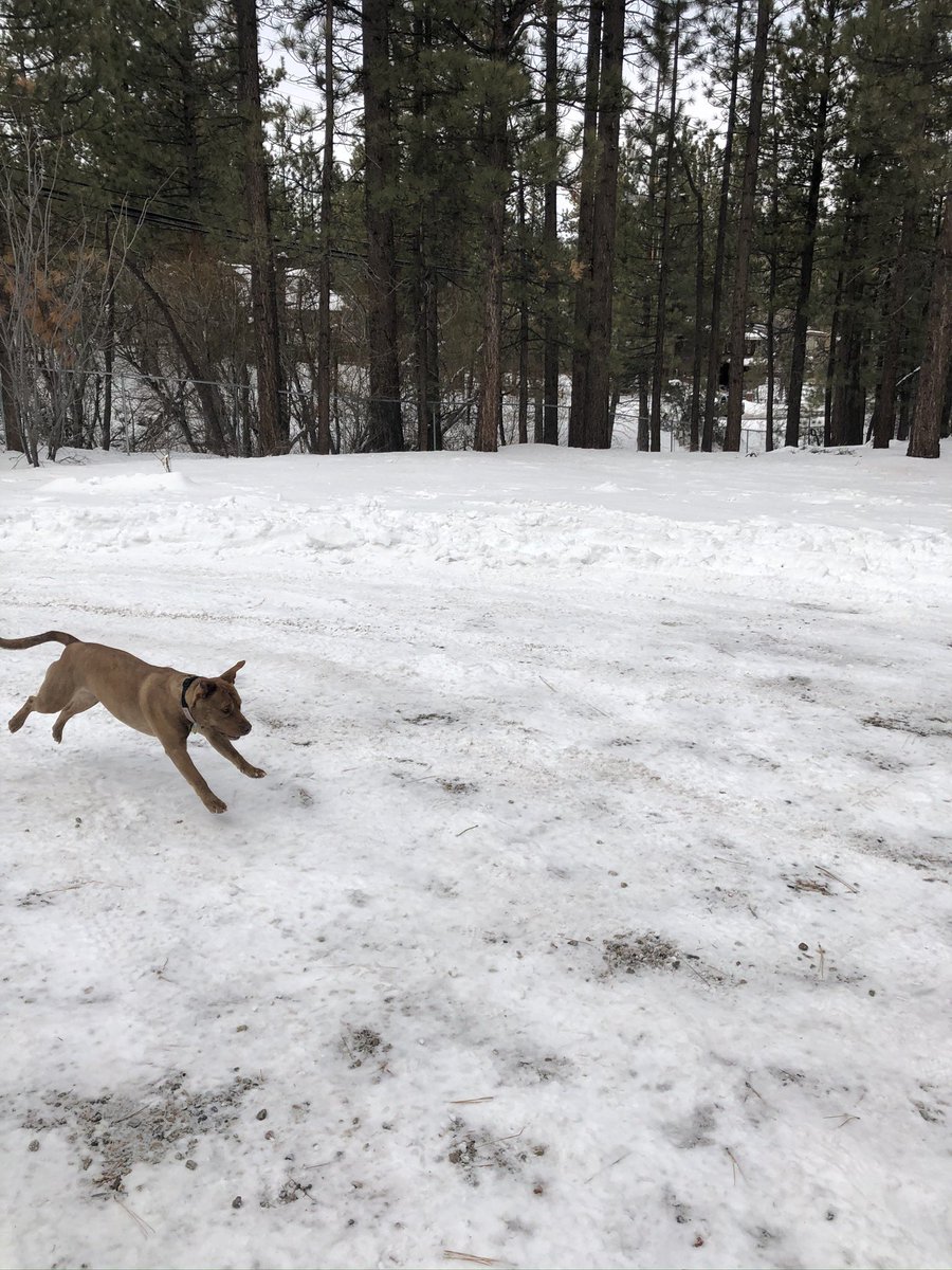 Matty S. Wilder tweet media