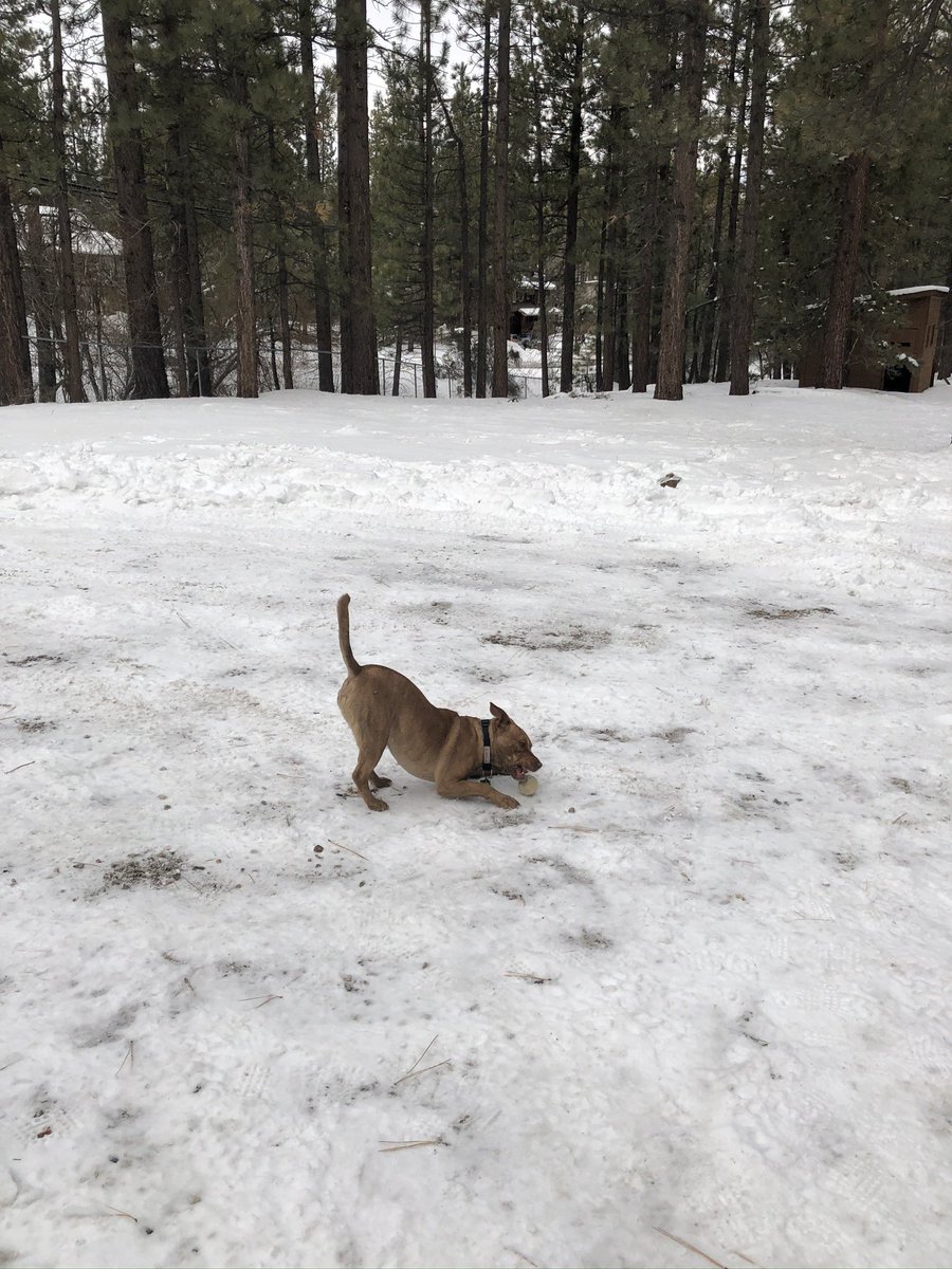 Matty S. Wilder tweet media