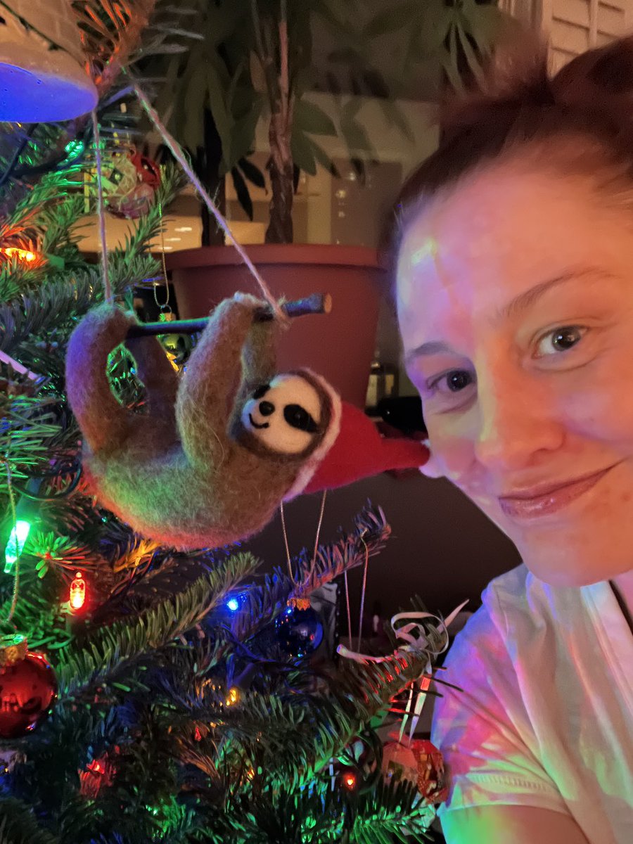 shakespeareprof's tweet photo. Girl with sloth. #sloth #myfirsttree https://t.co/S1BR4sW8SW