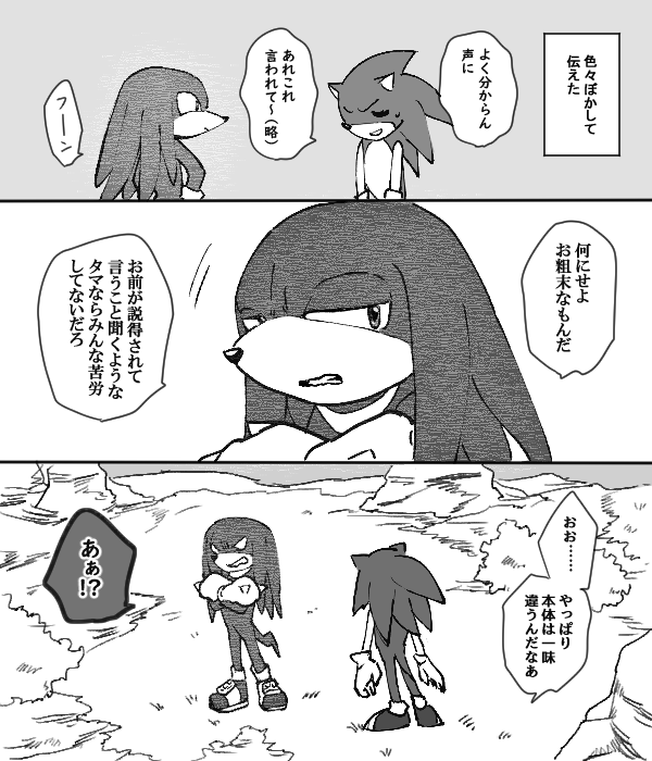 デコイ(※ソニナコ)フロ終盤イメージ
あれだけ情報が氾濫してたら1つくらい正体不明のバグもありそう 