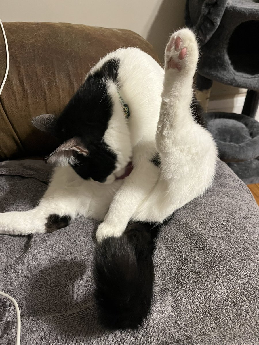 MoxTittyMaster's tweet photo. I’m sexy and I know it #tittymaster https://t.co/fFQoUpb2Q3