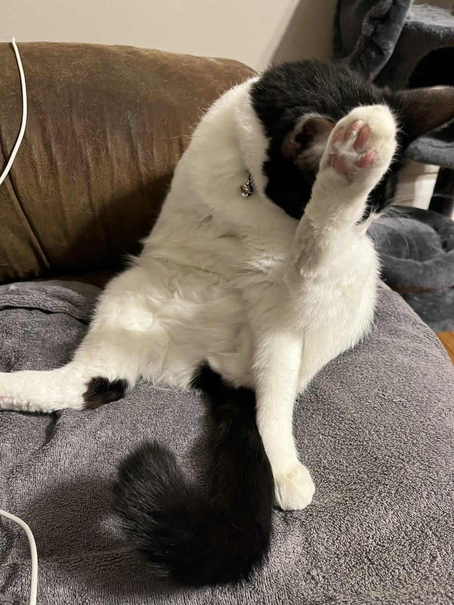 MoxTittyMaster's tweet photo. I’m sexy and I know it #tittymaster https://t.co/fFQoUpb2Q3