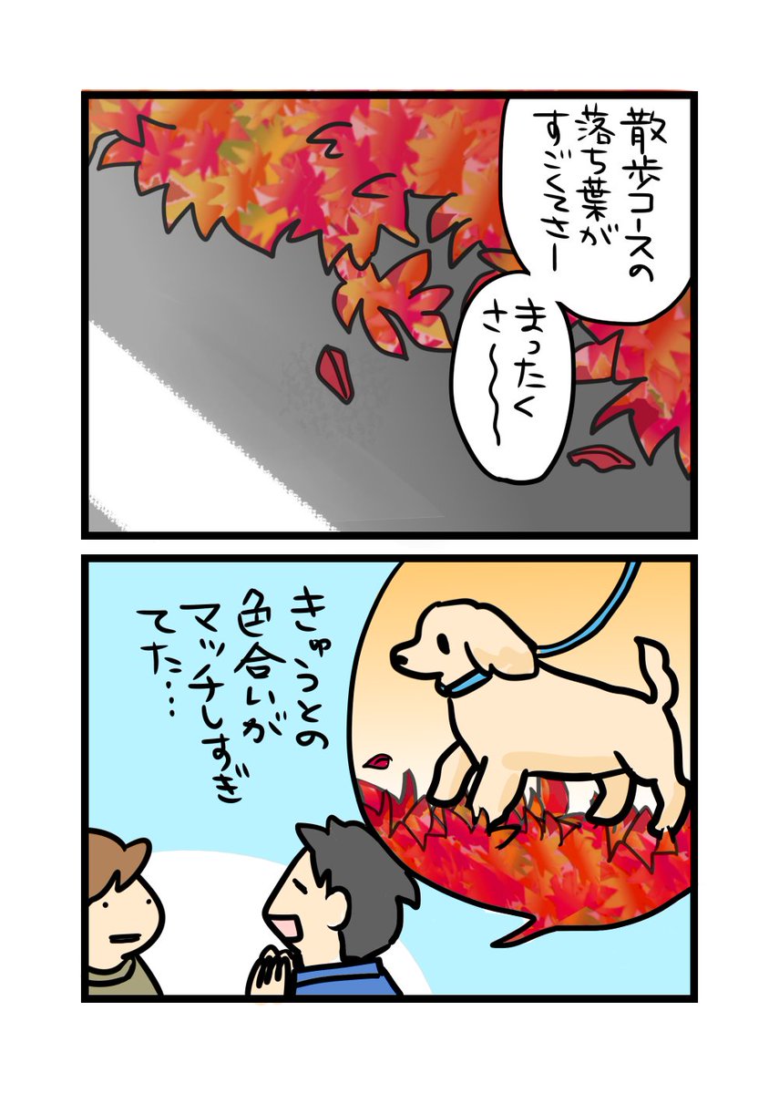 ガブドリアンときゅうちゃん その後 