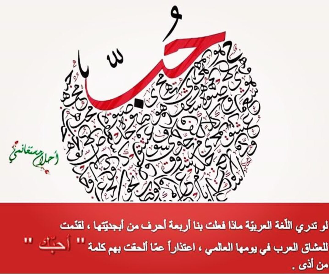 🕊 أحلام مستغانمي tweet media