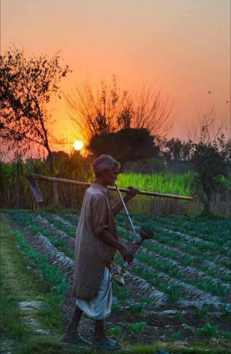 Farmers are the backbone of our country. And cruelty and excesses against them are unacceptable.
#کسان_قوم_کا_محسن