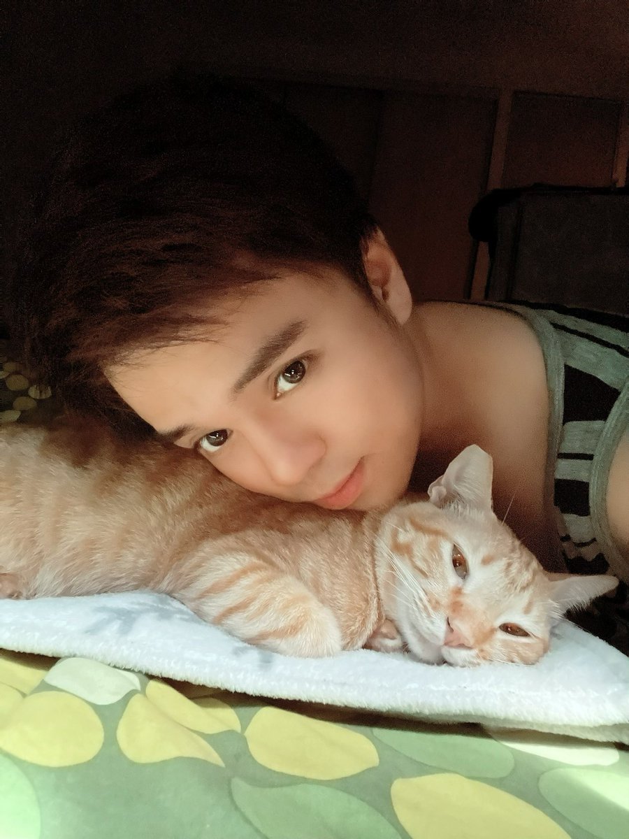 WBenzon's tweet image. This cheeky sleepy head!! I love you my O2! #fatherandson #myginger #o2thecat #cat #catstagram #catlover #catsingapore #instacat #catfamily #catloversclub #iloveyou