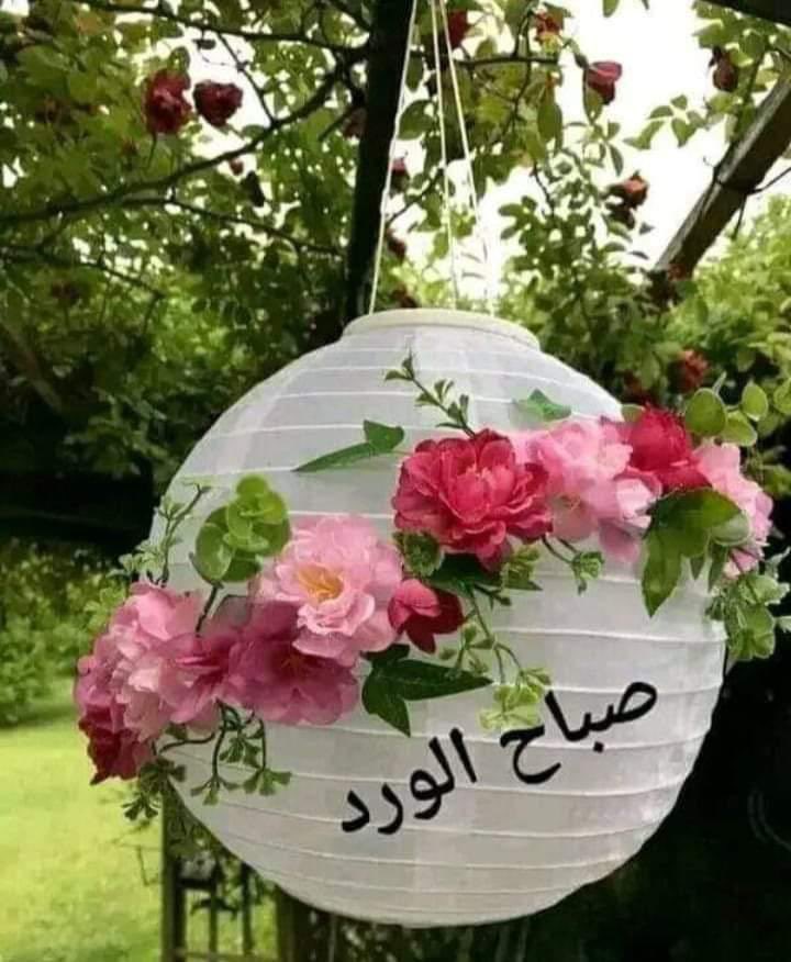 ba7rainyh's tweet photo. #البشاشة والخلق الحسن … والكلمة الطيبة والقلب النقي الأبيض … هم #صباح_الخيرᅠ https://t.co/3cEEemUjng