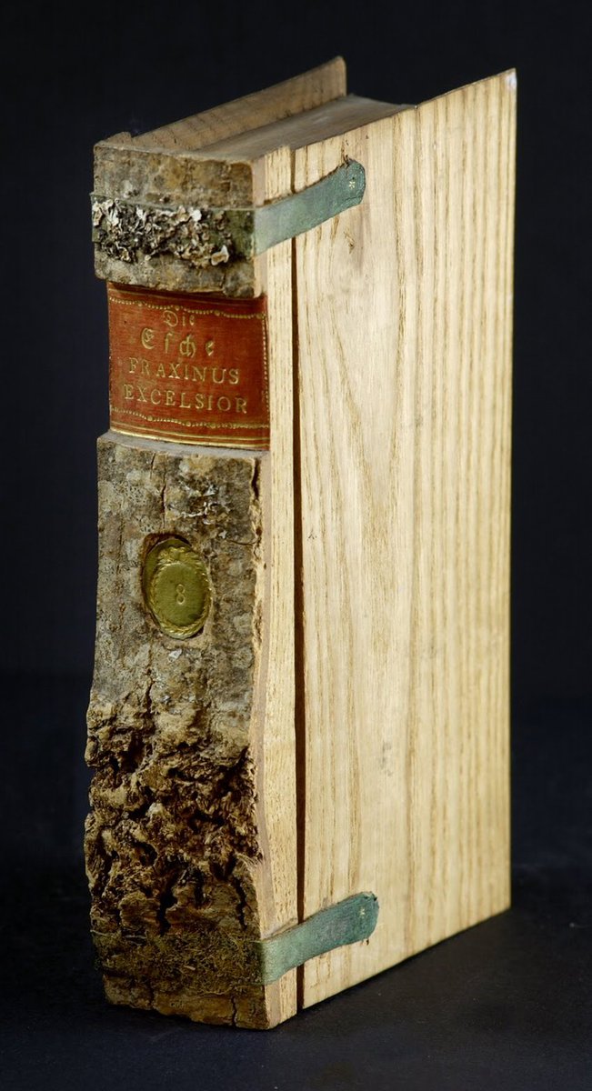 artinsociety's tweet photo. From our archive ~ a tree library! This 19C xylothek (= wooden storage) is a book-shaped volume made from the wood of a specific tree/plant which, when opened up, contains specimens of that variety, plus a written description https://t.co/Fawg09b9Oe https://t.co/KDJ0y9KVZv