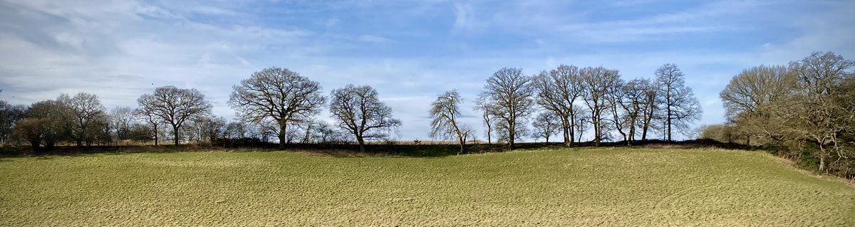 GrowlerOutdoor's tweet photo. Top trips of 2022: Christmas Common, Watlington Hill and Greenfield. 11 km starting from The Fox and Hounds Pub, Christmas Common.

https://t.co/n8uO3o2Wpv

#getoutside #trek #chilterns @VisitChilterns @ChilternSociety @ChilternsNT https://t.co/amA2vWRf83