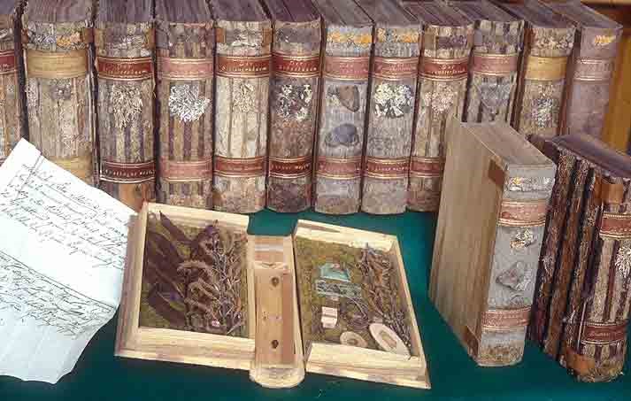 artinsociety's tweet photo. From our archive ~ a tree library! This 19C xylothek (= wooden storage) is a book-shaped volume made from the wood of a specific tree/plant which, when opened up, contains specimens of that variety, plus a written description https://t.co/Fawg09b9Oe https://t.co/KDJ0y9KVZv