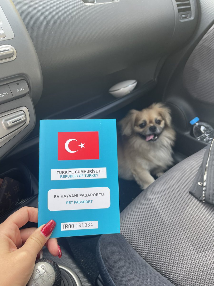 Çocuğuma da pasaport aldığıma göre istikamet ✈️