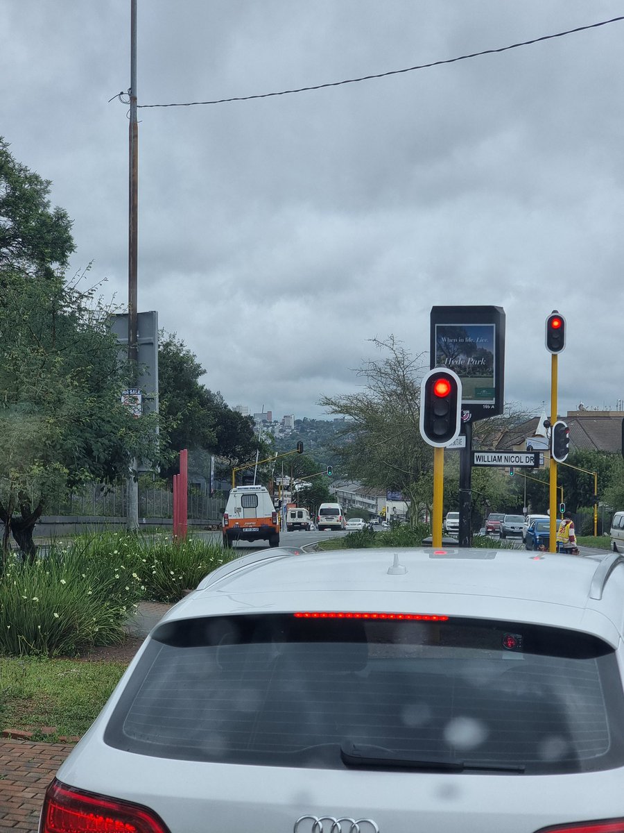 PigSpotter tweet picture