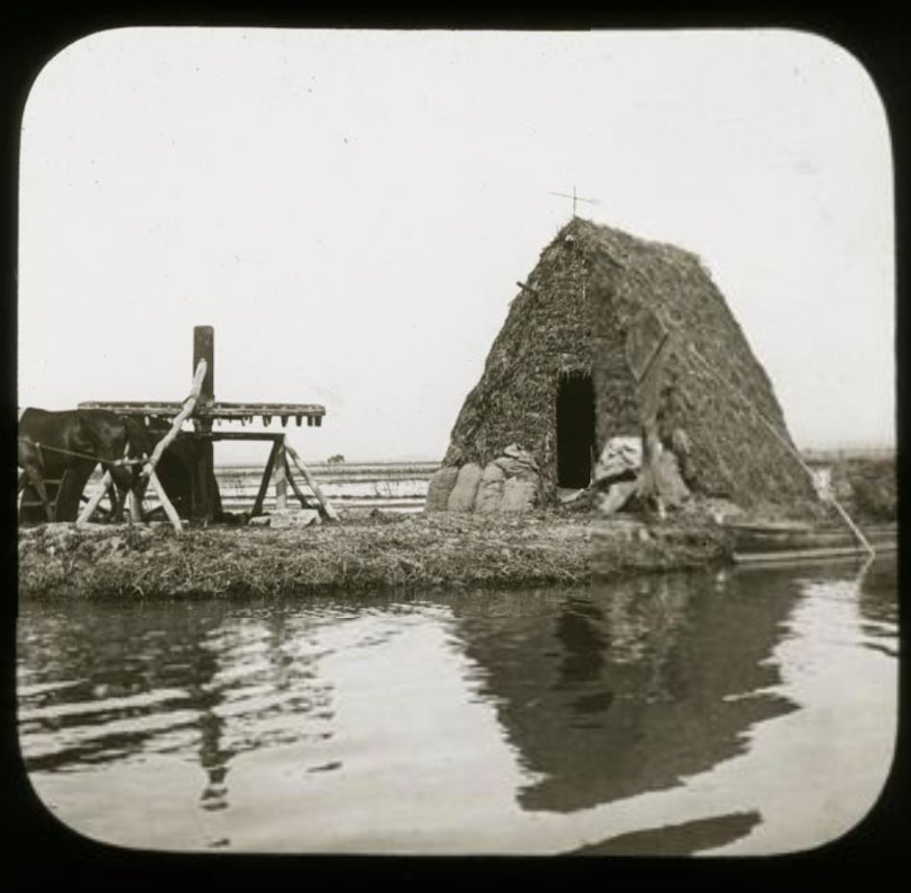 Només protestaran els caçadors. Que es conformen amb els arrossars…