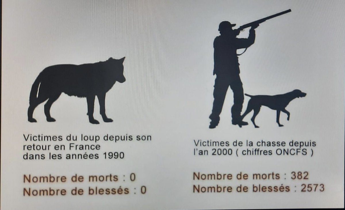 Onweerlegbare conclusie: jagers zijn véél gevaarlijker voor mensen dan wolven…<a href="/WolvenInNL/">Wolven In Nederland</a> <a href="/welkomwolf/">Wolven in Nederland</a> <a href="/Zoogdierverenig/">Zoogdiervereniging</a>