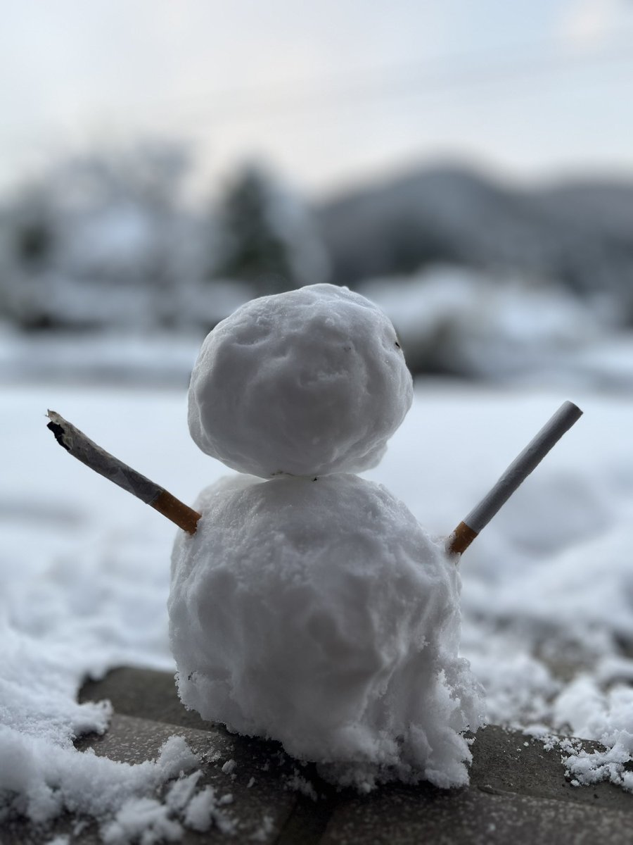 Lily_Sprout's tweet photo. 雪！⛄️
寒い！:(  '-'   ): https://t.co/q1Eolzfw7F