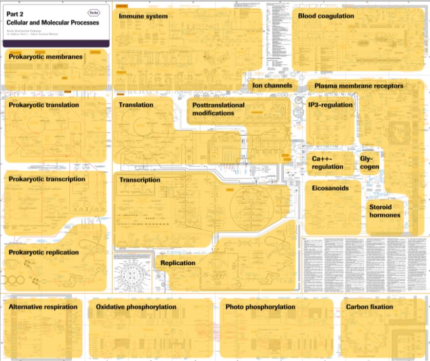 HealthNotes.jpg on Twitter: