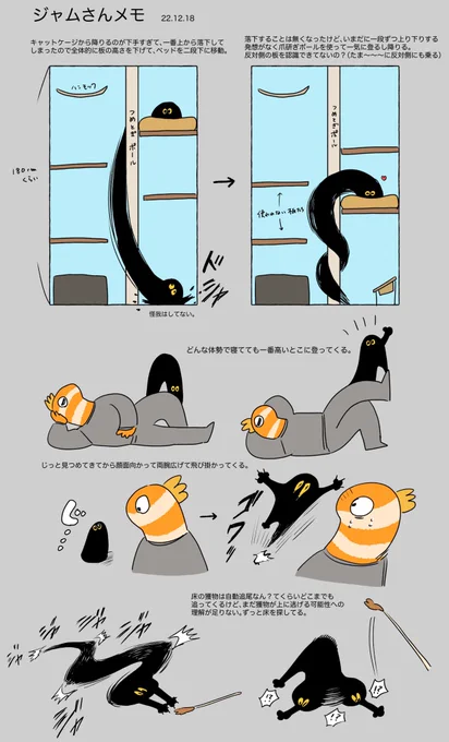 最近のジャムさんメモ
 #黒猫ジャムカ https://t.co/qDbKdPjkHU 