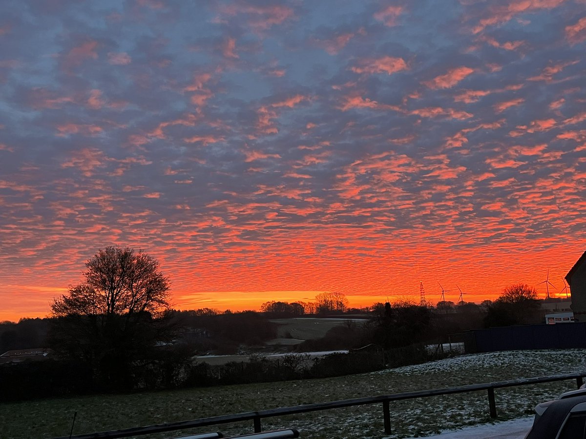 DeanMachine73's tweet image. Goooood morning