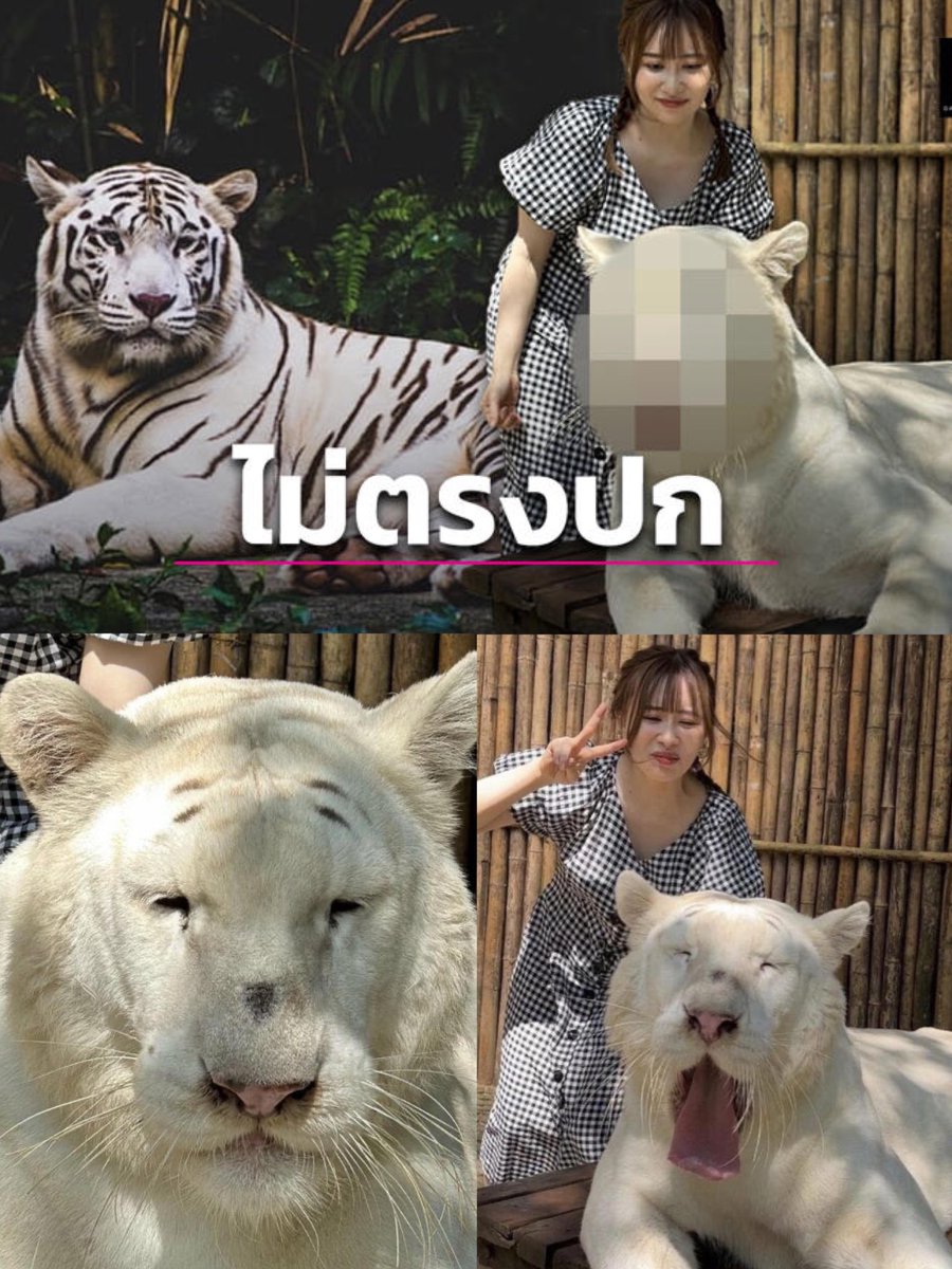 ลูกอีหน่อแตด tweet media