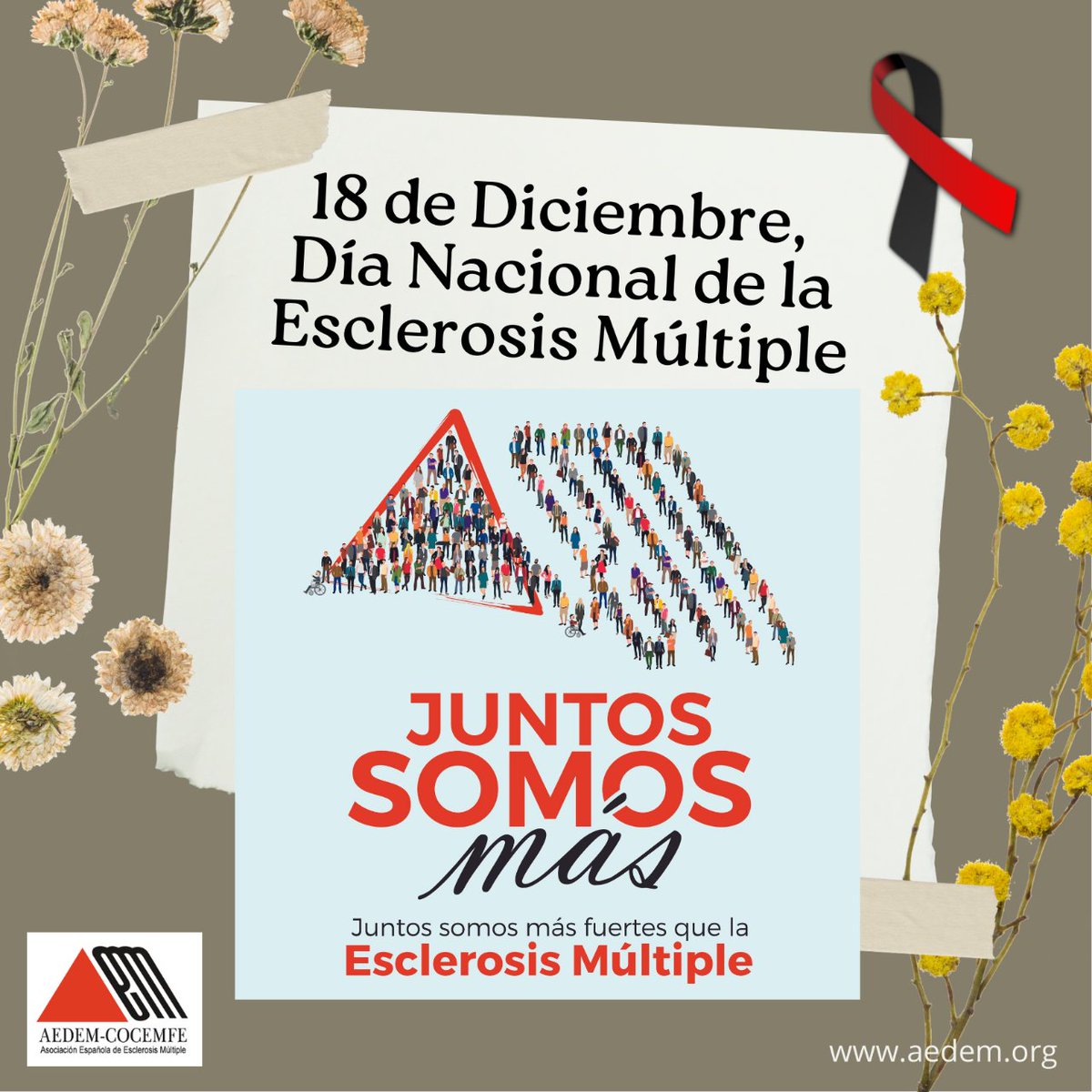 Esclerosis Múltiple tweet media