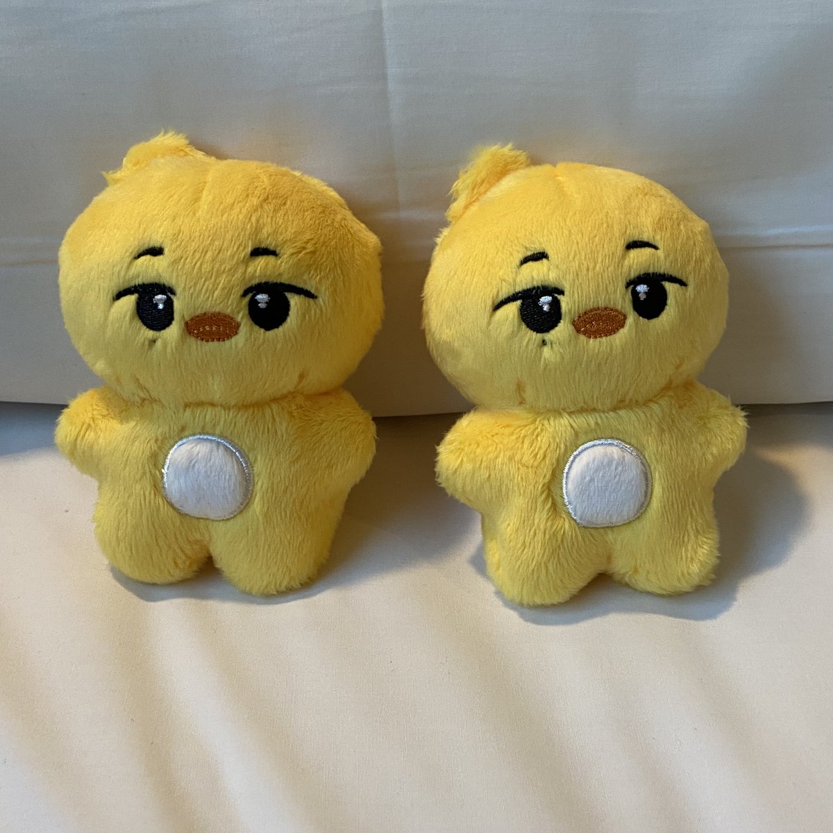 뿅캉이 안전 도착 완료🐥

뿅캉이는 다음주 월~화 배송예정으로, 배송이 더 늦어지기전에 편의점 택배로 일괄 배송예정입니다.

혹시나 배송지 변경하실 분은 DM부탁드립니다:)

앗 추가로 석화에게는 오늘 지인을 통해 팬싸인회에서 전달예정이에요😊