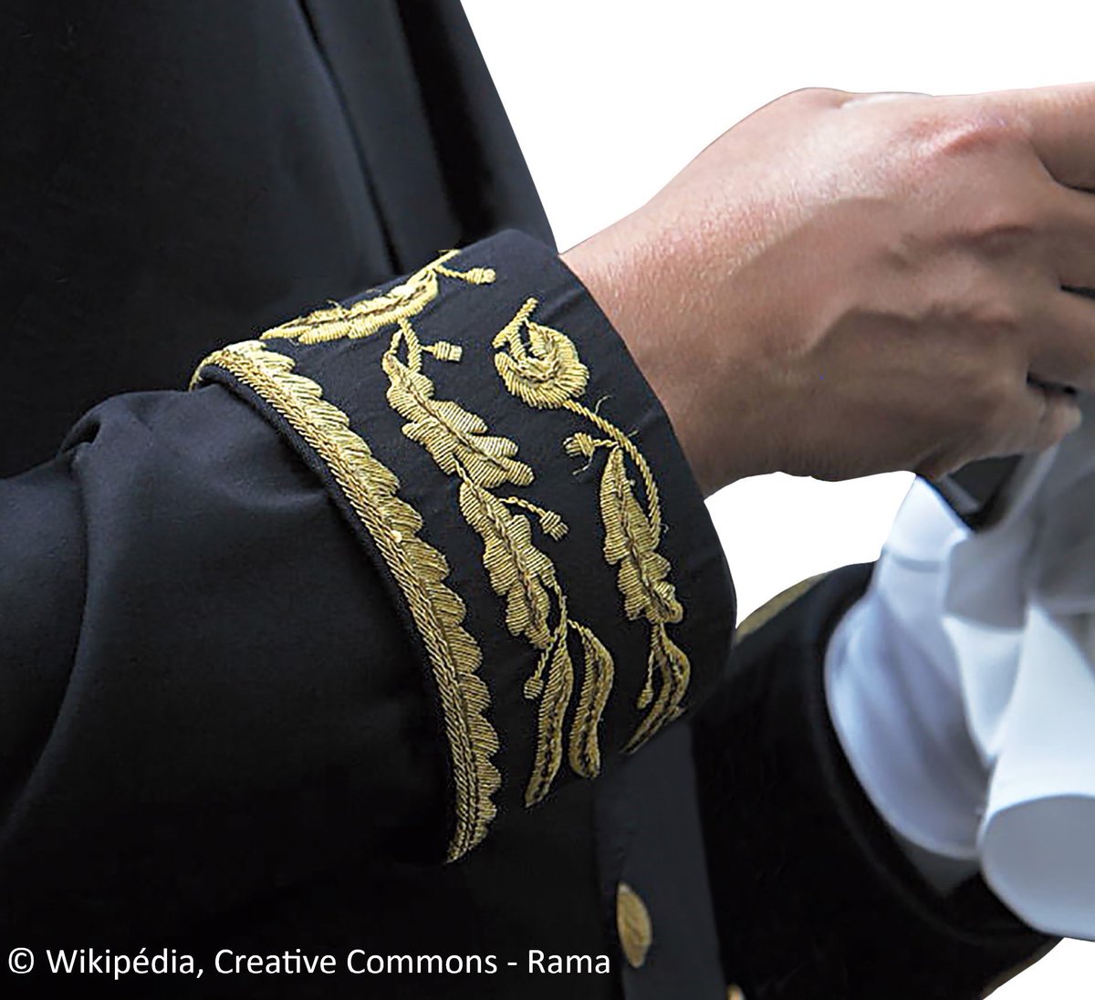 ac_phfmi's tweet photo. L'aviez-vous remarqué ? Les feuilles de Chêne et d'Olivier, symboles de l’autorité et de la paix sur l’uniforme préfectoral, sont aussi portées par les joueurs de l'équipe de France de football ! #FiersdetreBleus #FIFAWorldCup2022 #ARGFRA https://t.co/JGhNn4i658