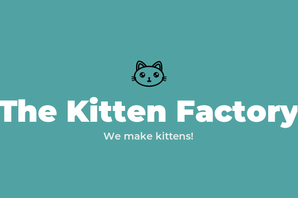awful_startups's tweet photo. The Kitten Factory | The Kitten Factory is the place to go for your kitten needs. We have everything from kittens to kitten food to kitten toys!

#datascience https://t.co/LJOmuyzFRN