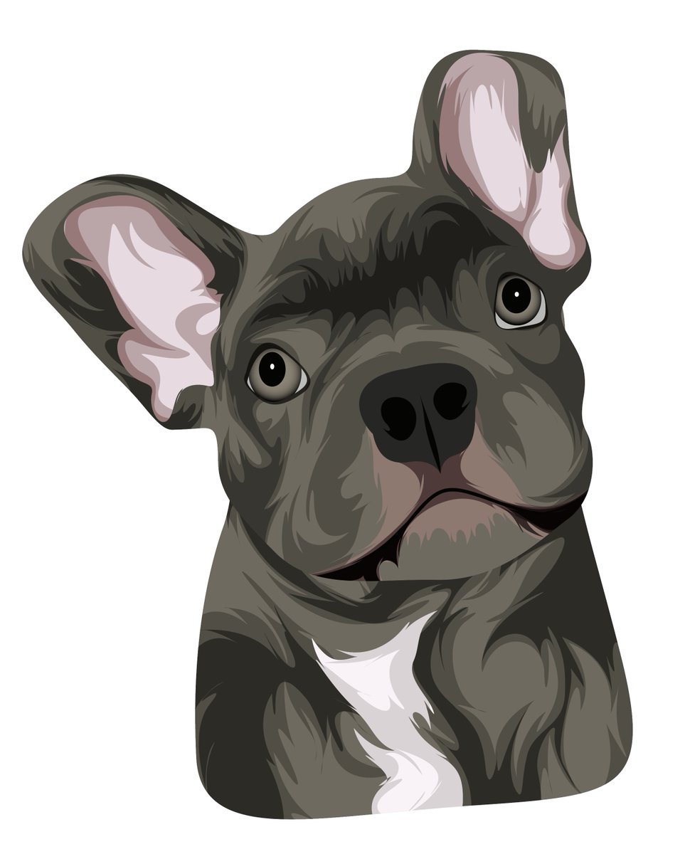 custompetnft's tweet photo. Show some love❤️ to this cute art and tag your friend/family who has a cute dog/cat. DM your dog/cat photo, and we will turn that into a masterpiece🔥
👉Follow @custompetnft
#petportrait #customart #portrait #dogportrait #catportrait #freeportrait #cat #dog #catportrait #nft https://t.co/2YiD9Gzrzi