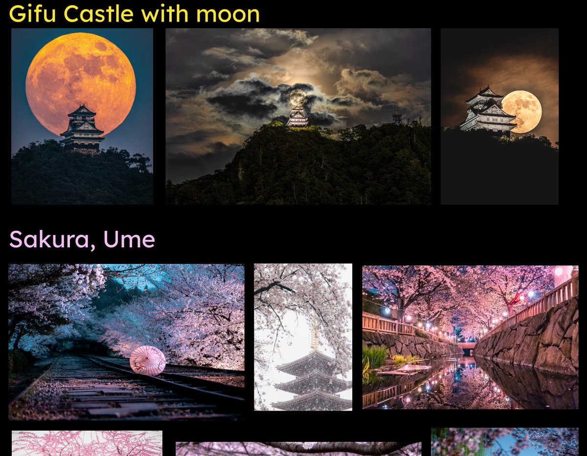 閲覧用(Etsuran) tweet media