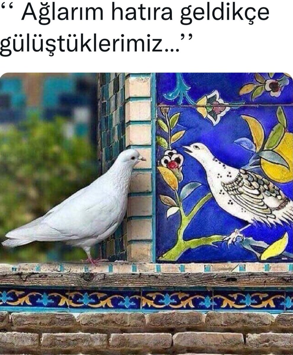 dr_yusufyilmaz's tweet photo. İnsanın değerini #bilmemek senin kabahatin!
bölmek ise,
zaten başlı başına bir zayiat!

Herşey
#ederince olmalı,
ederince #değer bulmalı!
*
Üzülmekten bıkmadın mı? https://t.co/ct6cSO8ild