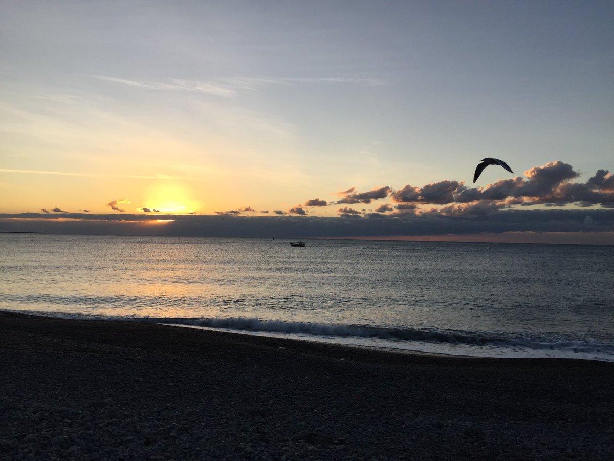 Christiane (@chris5060) on Twitter photo 