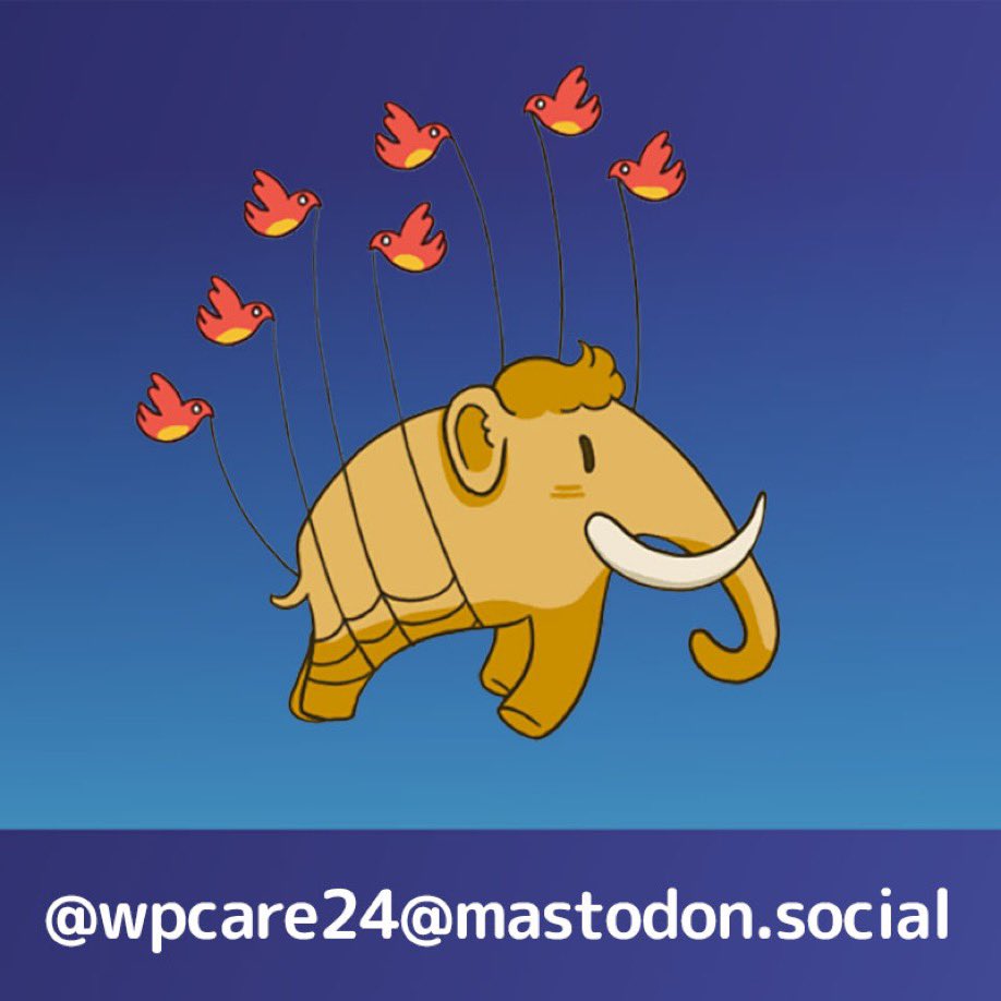 wpcare24.de tweet media