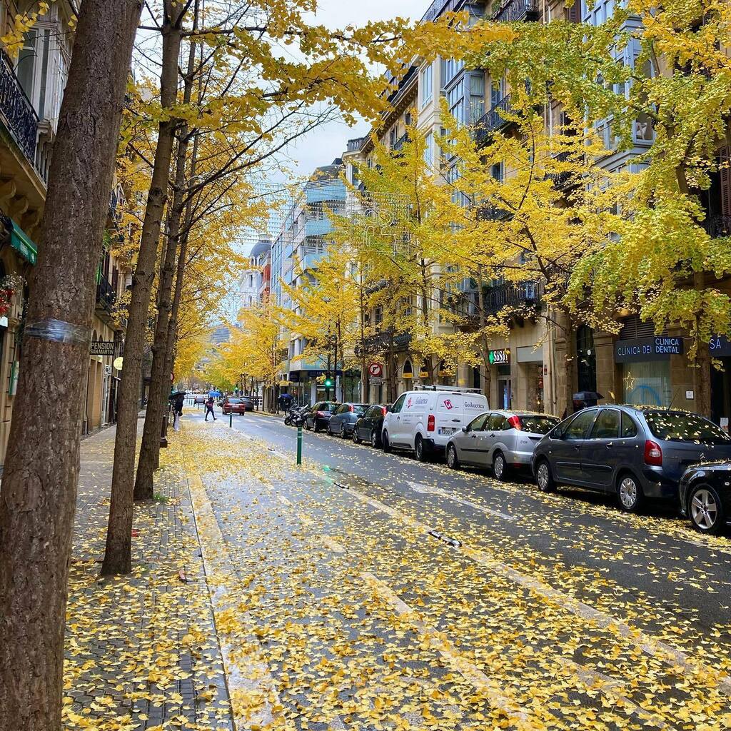 #otoño #donostia #sansebastian instagr.am/p/CmTPyHlt555/