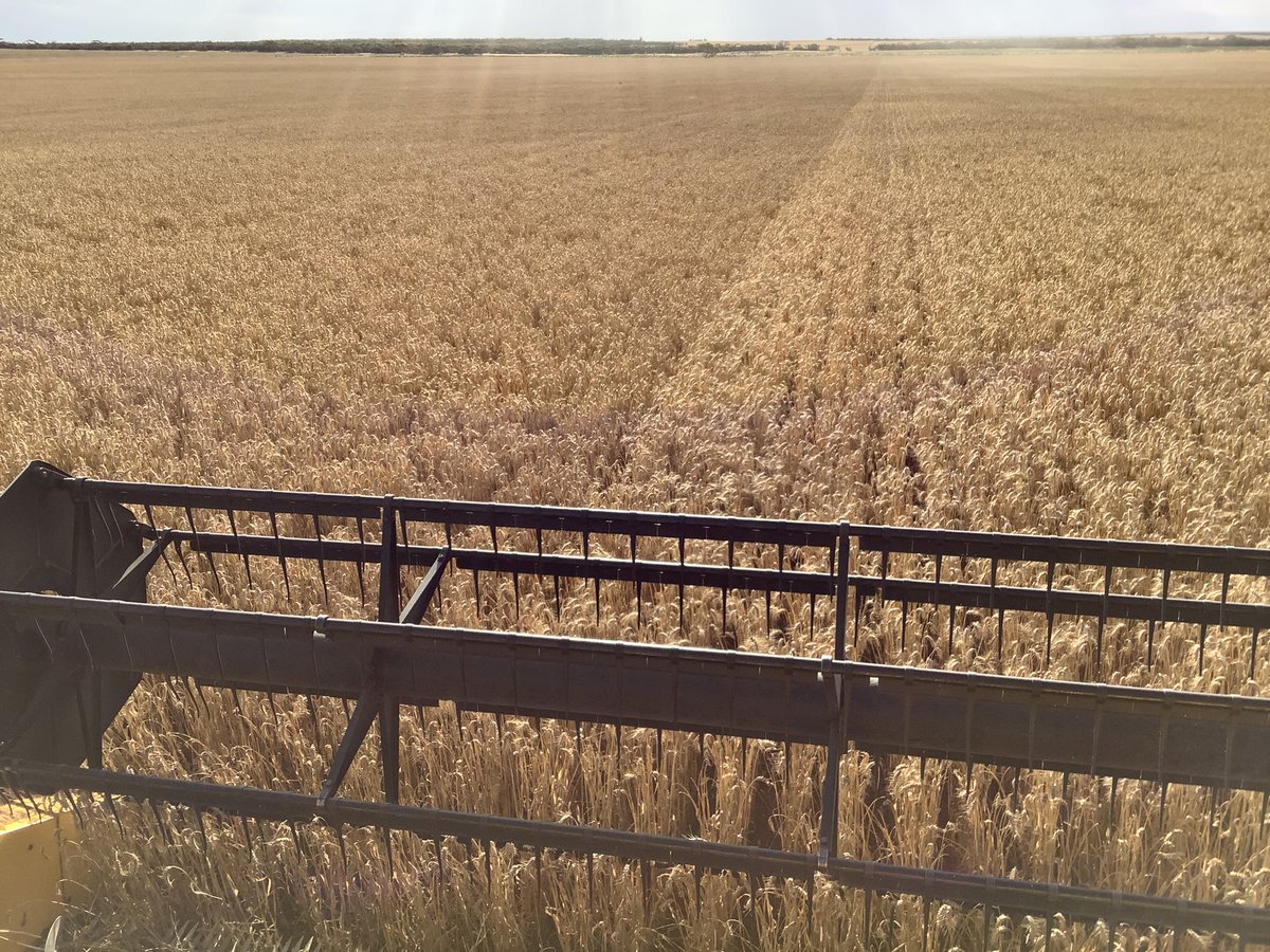 Michael Woolford tweet media