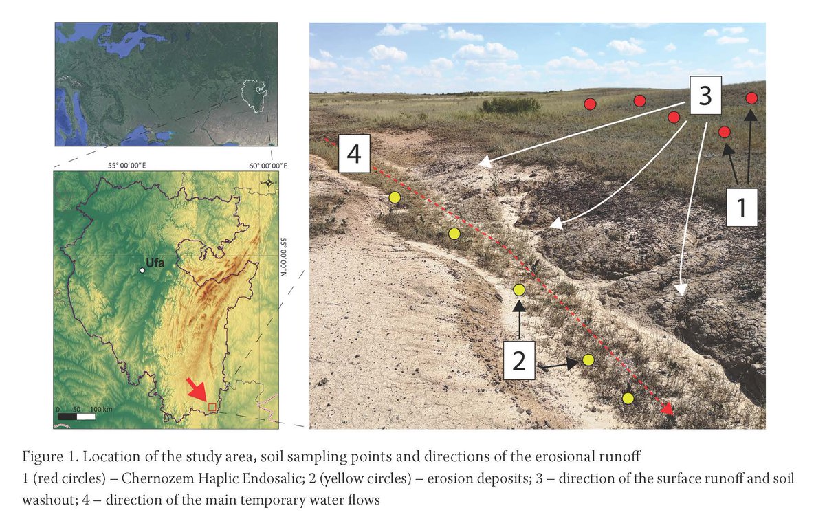 SwrCazv's tweet photo. Read this interesting article: "Biophysicochemical properties of the eroded southern chernozem (Trans-Ural Steppe, Russia) with emphasis on the 13C NMR spectroscopy of humic acids" Read more here: https://t.co/NRgeDdIFmg #OpenAccess #soil #chernozem #erosion https://t.co/dBRUD3dzKQ