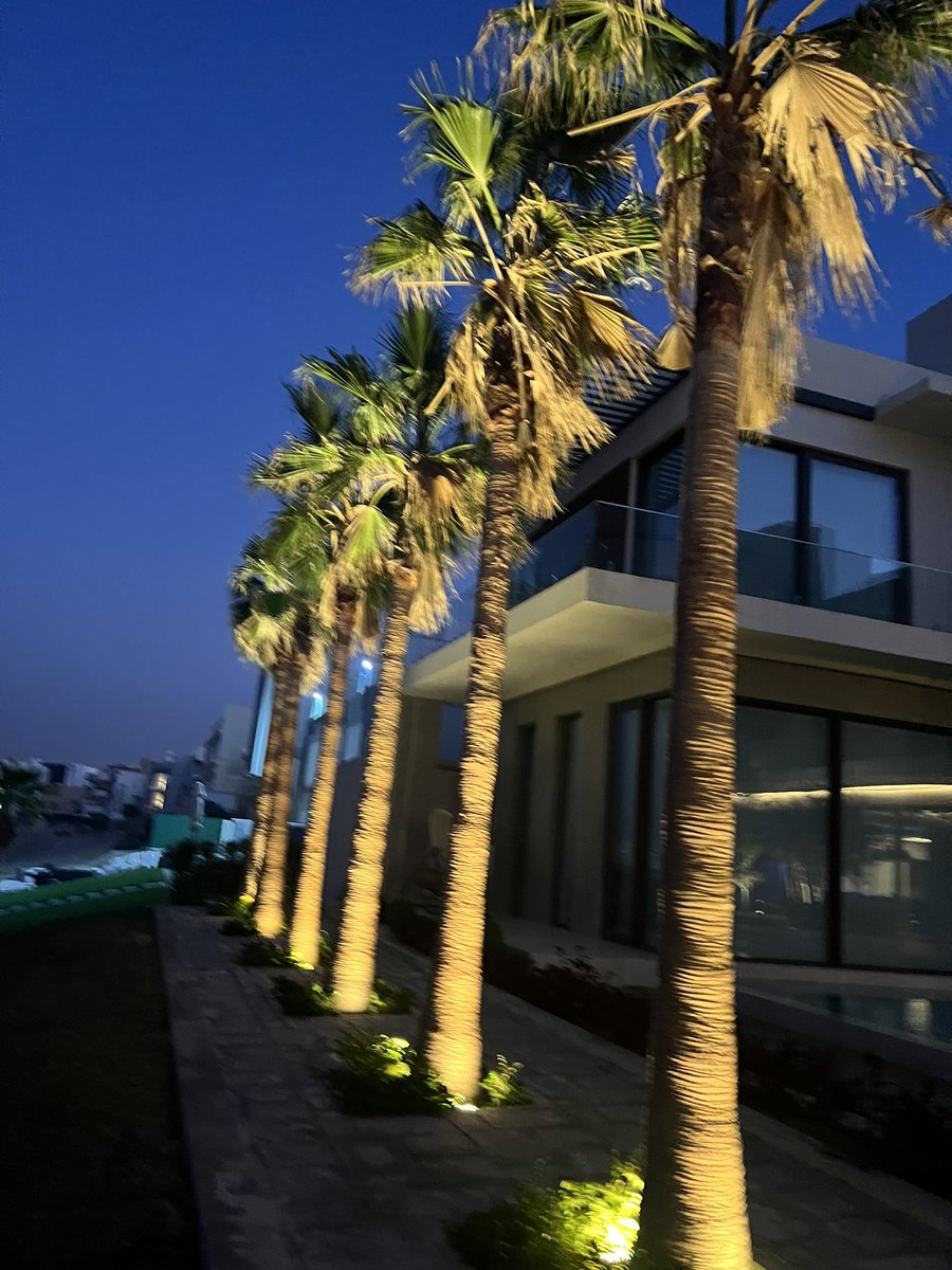 dalsharhan's tweet photo. محد ينافسنا في إضاءة الزرع والنخل 😍💡
#DALStore #DALStudio #KONTRACT
https://t.co/VwLFWC7RH0 https://t.co/CKNDQDvCFd