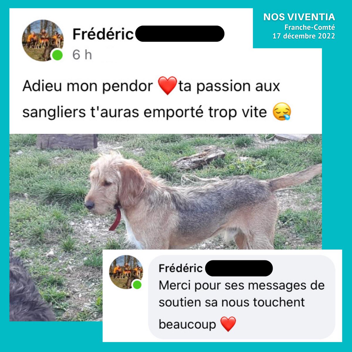 PierreRigauxx tweet picture
