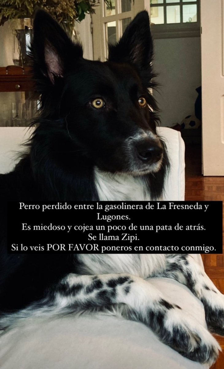Nacho tweet media