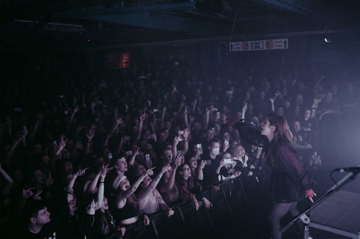 ChrissyCostanza's tweet image. it was all a fever dream