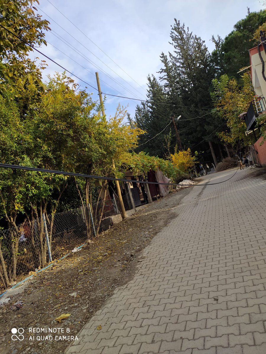 bg010222's tweet photo. @TTDestek altyapı şikayet hattına şikayet oluşturdum 2 hafta oldu neredeyse hala gelip yapılmadı demekki direğin devrilmesi bekleniyor gelip yapılması için lütfen en kısa sürede ekiplere bildirir misiniz? https://t.co/SwR3DLX1t2
